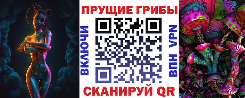 Галлюциногенные грибы Psilocybine cubensis  shop наркотические препараты  Алагир  купить закладку 